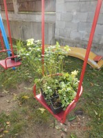 /album/zahrada-ms-thunska/zahrada-thunska-10-jpg/